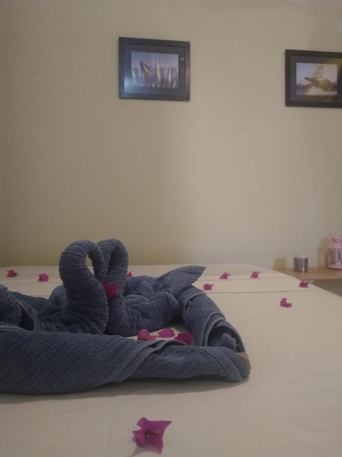 ז'יז'וקה דה ז'ריקואקוארה Benu Suites מראה חיצוני תמונה